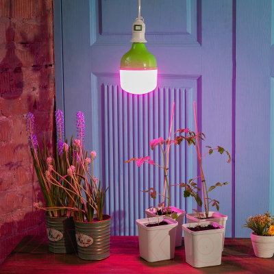 Лампа для растений Uniel LED-M80-20W/SPSB/E27/FR PLS55GR / UL-00006261