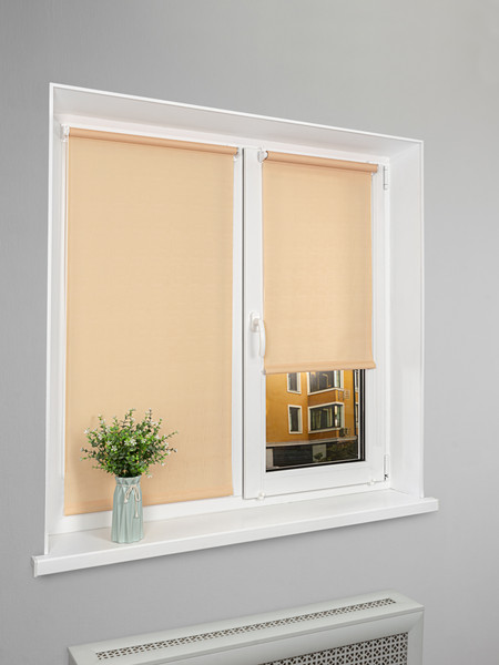 Рулонная штора Lm Decor Лайт LM 30-10C 61x160