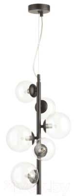 Люстра Odeon Light Tovi 4818/6