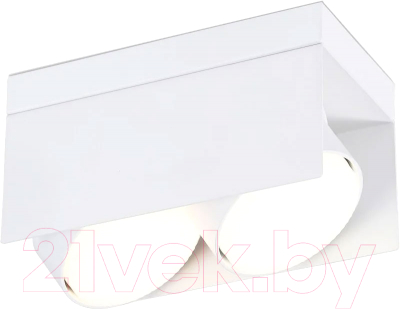 Спот Ambrella Techno Spot TN70845/2 SWH