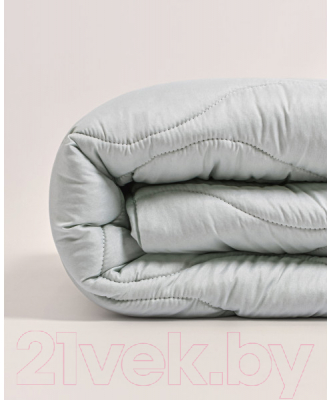 Одеяло АЭЛИТА Bon Ton 172x205