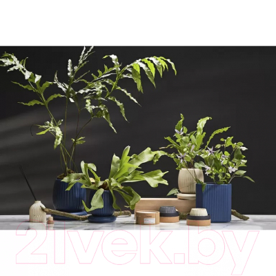 Вазон Tkano Edge TK22-DEC-PT0003