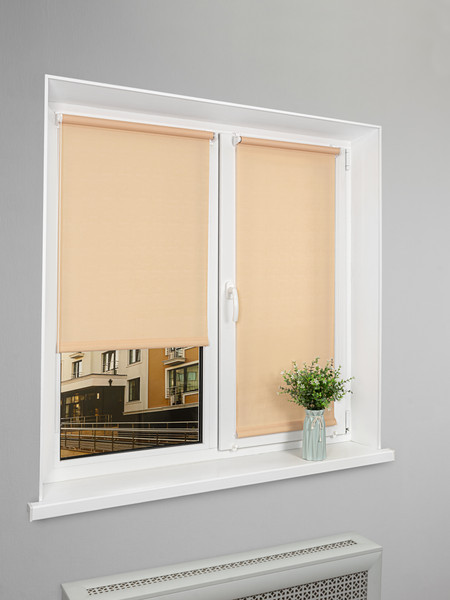Рулонная штора Lm Decor Лайт LM 30-10C 61x160