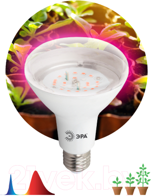 Лампа для растений ЭРА FITO-16W-RB-E27-K / Б0039072