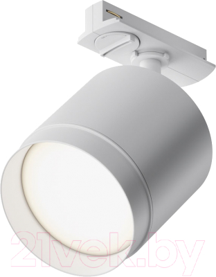 Трековый светильник Maytoni Polar TR088-1-GX53-W