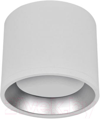 Точечный светильник INhome НПБ Цилиндр GX53-CH/WH / 4690612046563