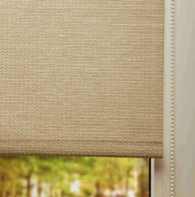 Рулонная штора Lm Decor Камелия LM 49-02 48x160