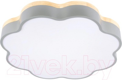 Потолочный светильник Loftit Axel 10225/36