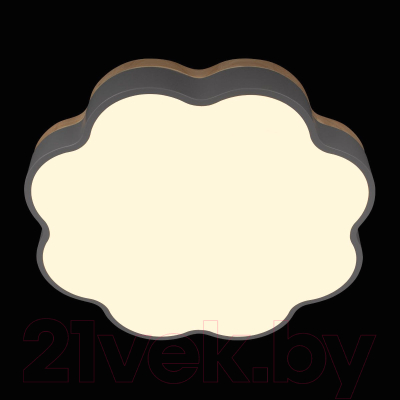 Потолочный светильник Loftit Axel 10225/36