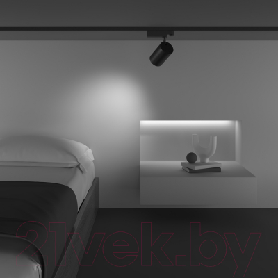Трековый светильник Maytoni Vuoro TR029-3-20W4K-M-B