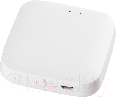 Роутер для трековой системы Lightstar Teta 505500R