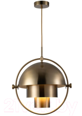 Потолочный светильник Loftit LOFT9915-C