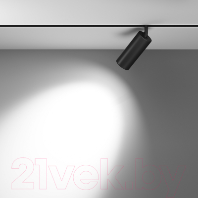 Трековый светильник Maytoni Focus LED TR032-2-20W4K-M-B