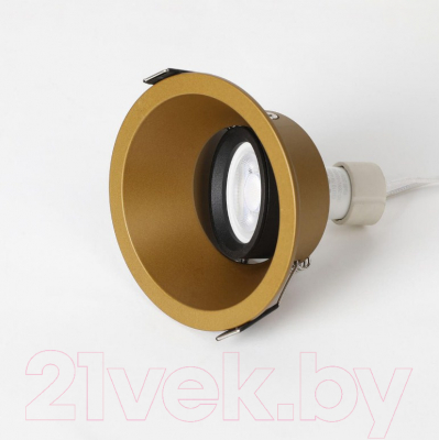Точечный светильник FAVOURITE Retro 2792-1C