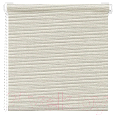 Рулонная штора АС МАРТ Оливия 48x160