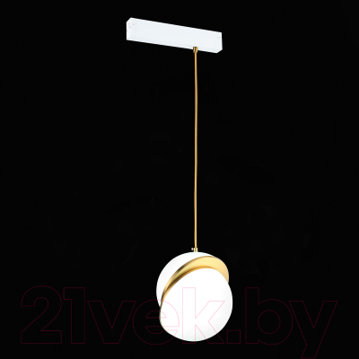 Трековый светильник ST Luce ST501.313.01