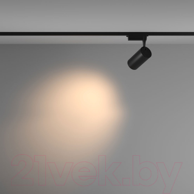 Трековый светильник Maytoni Vuoro TR003-1-36W3K-M-B