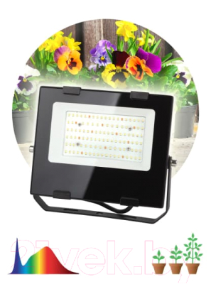 Светильник для растений ЭРА FITO-50W-Ra90-LED / Б0047875