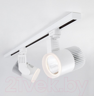 Трековый светильник Elektrostandard Accord 20W 4200K LTB17