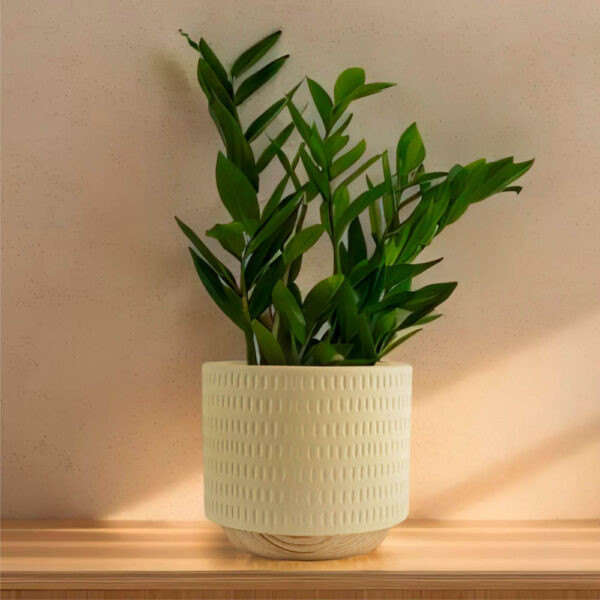 Кашпо Mandarin Decor Често / P18C23104B-12milk