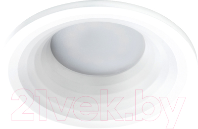 Точечный светильник Arte Lamp Anser A2160PL-1WH