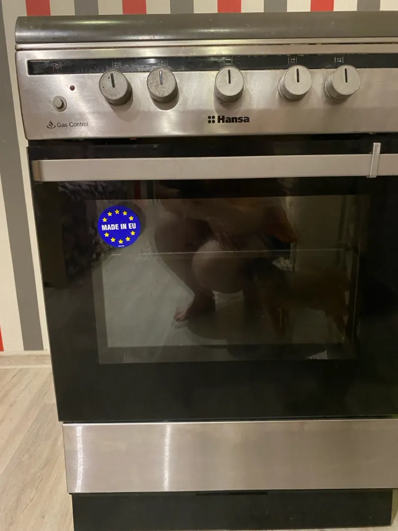 Газовая плита hansa