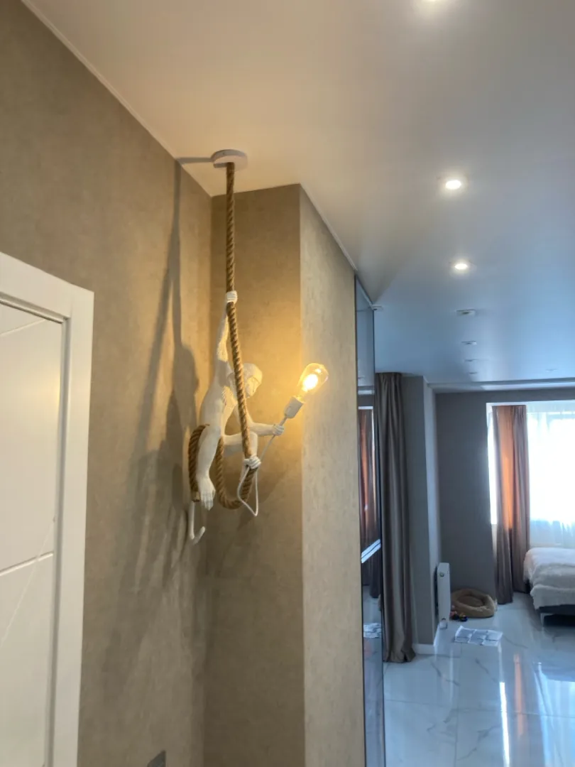 Подвесной светильник обезьянка