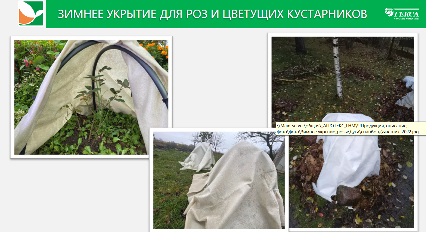 Зимнее укрытие для цветущих кустарников Агротекс Сад 60/2м