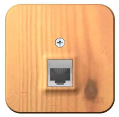 Розетка Systeme (Schneider) Electric Blanca BLNIA045005