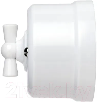 Выключатель TDM Виви SQ1820-1006