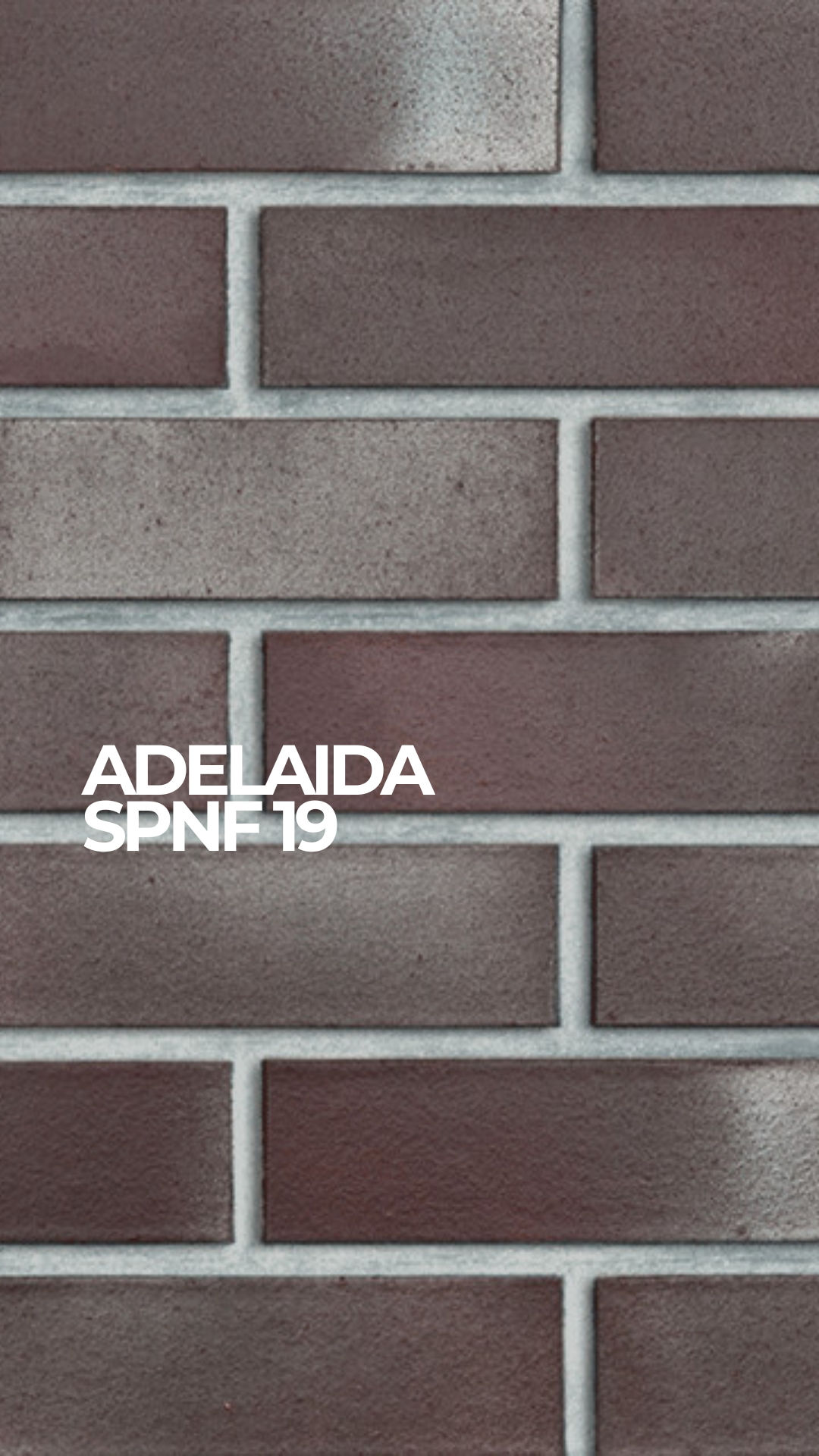 Кирпич клинкерный Roben Adelaida PNF19 полнотелый