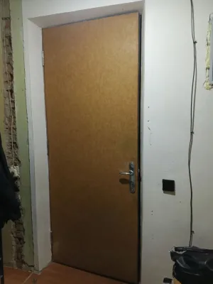 Дверь входная. 2300*900