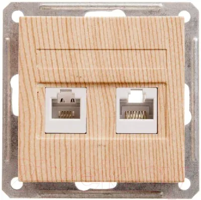 Розетка Systeme (Schneider) Electric W59 RSI-251TK5E-7-86