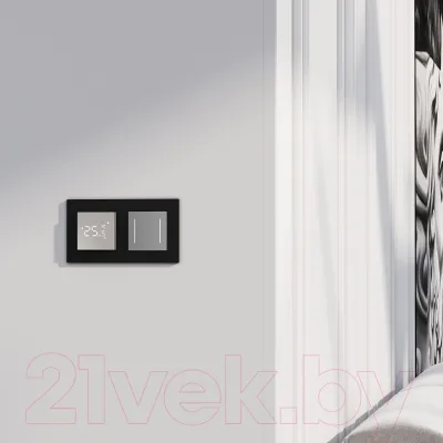 Выключатель Werkel W4522006 Сенсорный двухклавишный