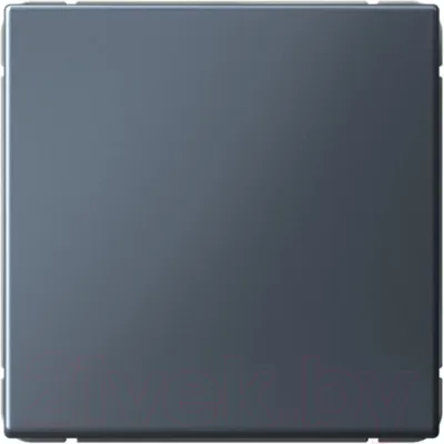 Выключатель Systeme (Schneider) Electric ArtGallery GAL000715