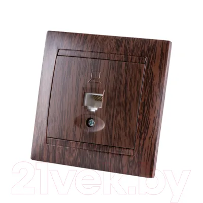 Розетка TDM Лама SQ1815-0416