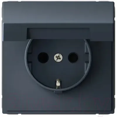 Розетка systeme (schneider) electric artgallery gal000746