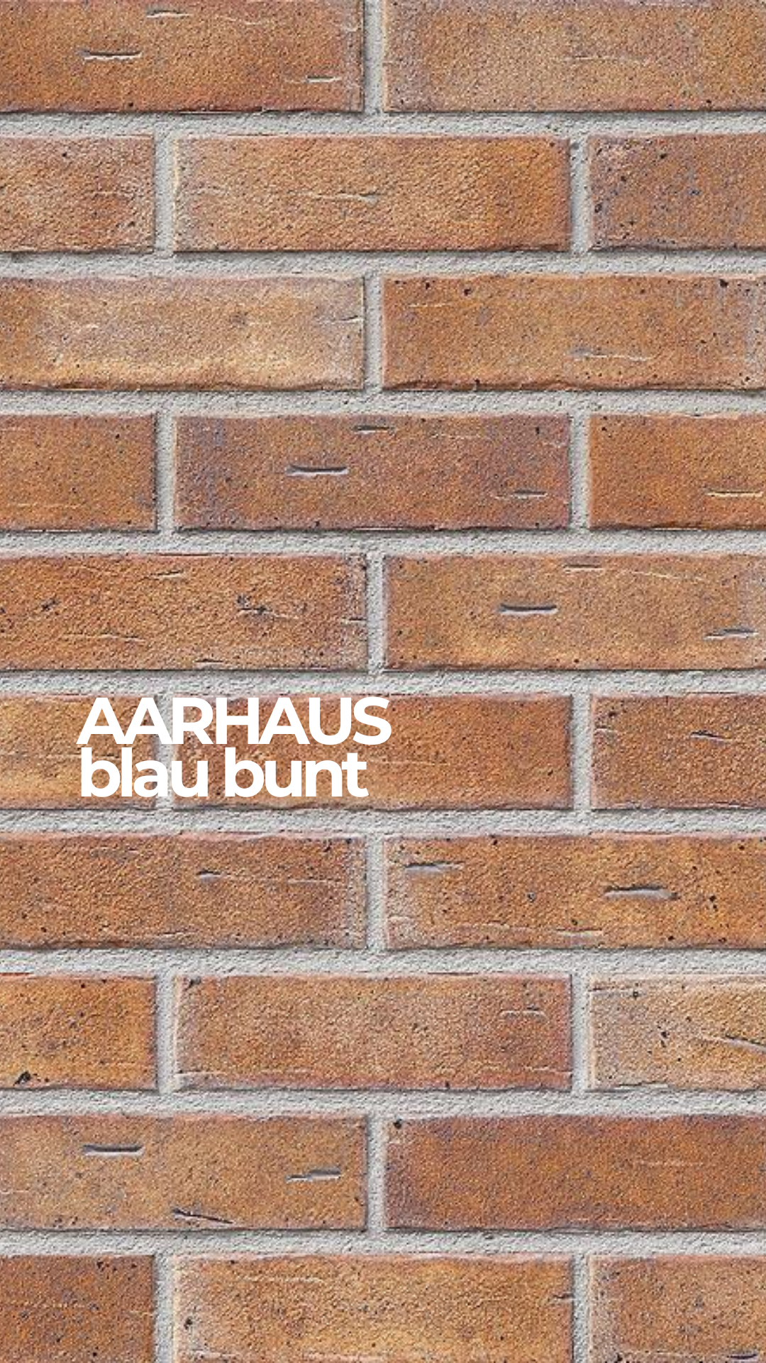 Плитка клинкерная Roben Aarhaus silber schwarz