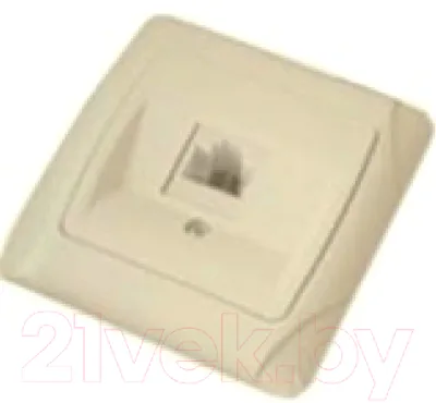 Розетка TDM Онега SQ1805-0051