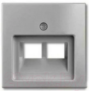 Лицевая панель ABB Basic 55 1753-0-0095-1
