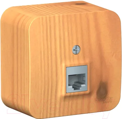 Розетка Systeme (Schneider) Electric Blanca BLNIA045005
