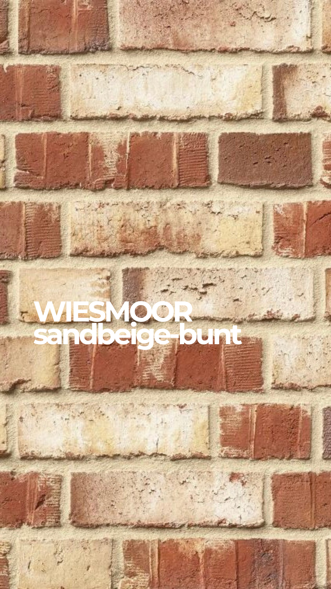 Кирпич клинкерный Roben Moorbrand sandgeld bunt