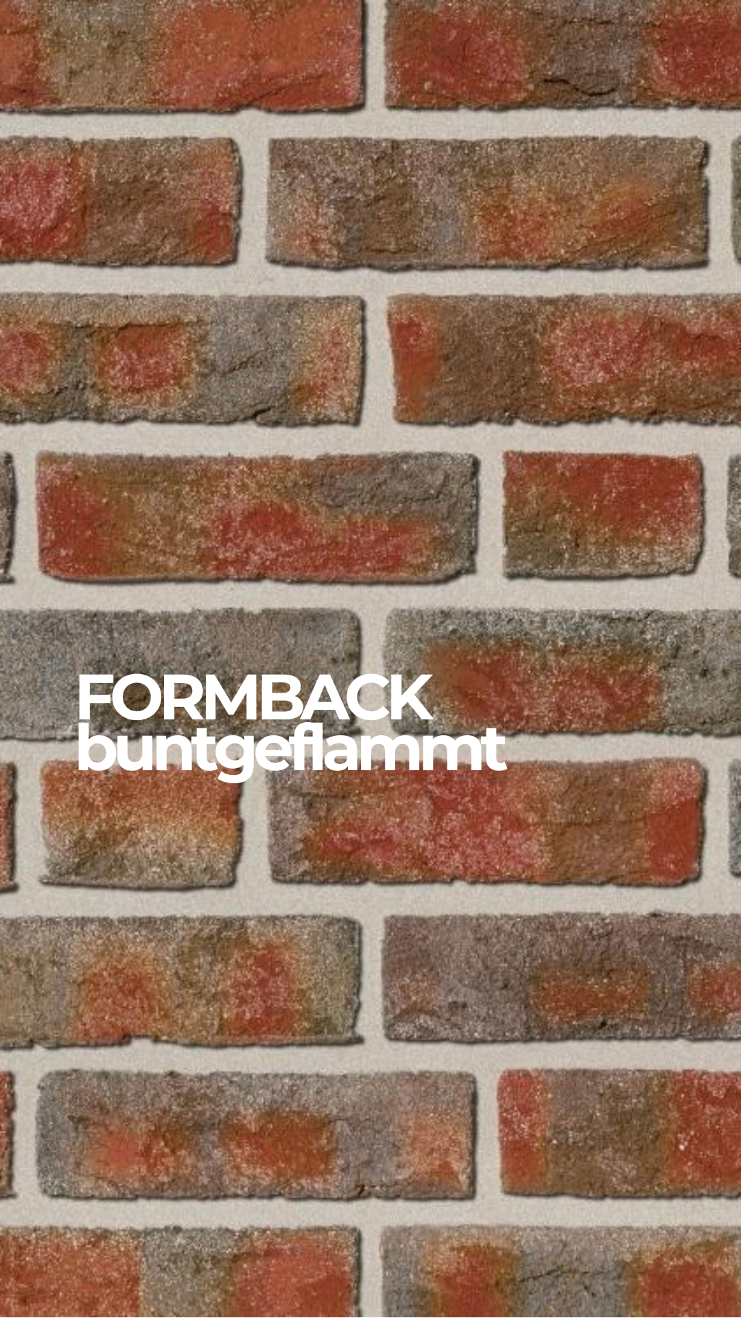 Кирпич клинкерный Roben Formback bunt gemflammt