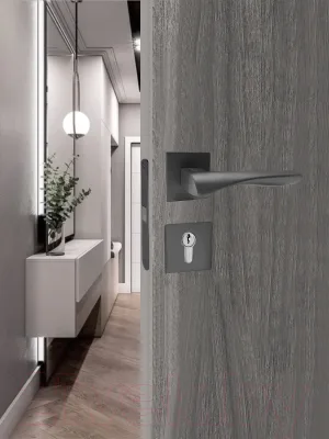 Ручка дверная Trodos 870 серия 03 Slim