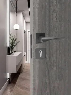 Ручка дверная Trodos 870 серия 03 Slim