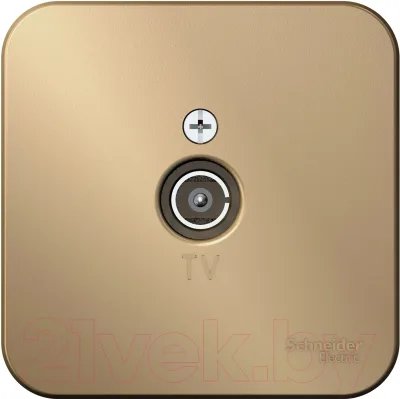 Розетка Systeme (Schneider) Electric Blanca BLNTA000014