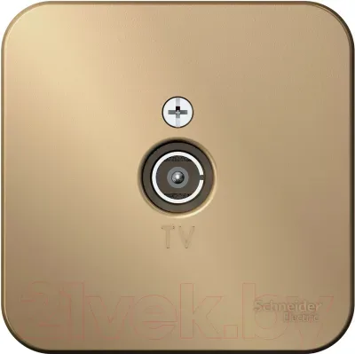 Розетка Systeme (Schneider) Electric Blanca BLNTA000014