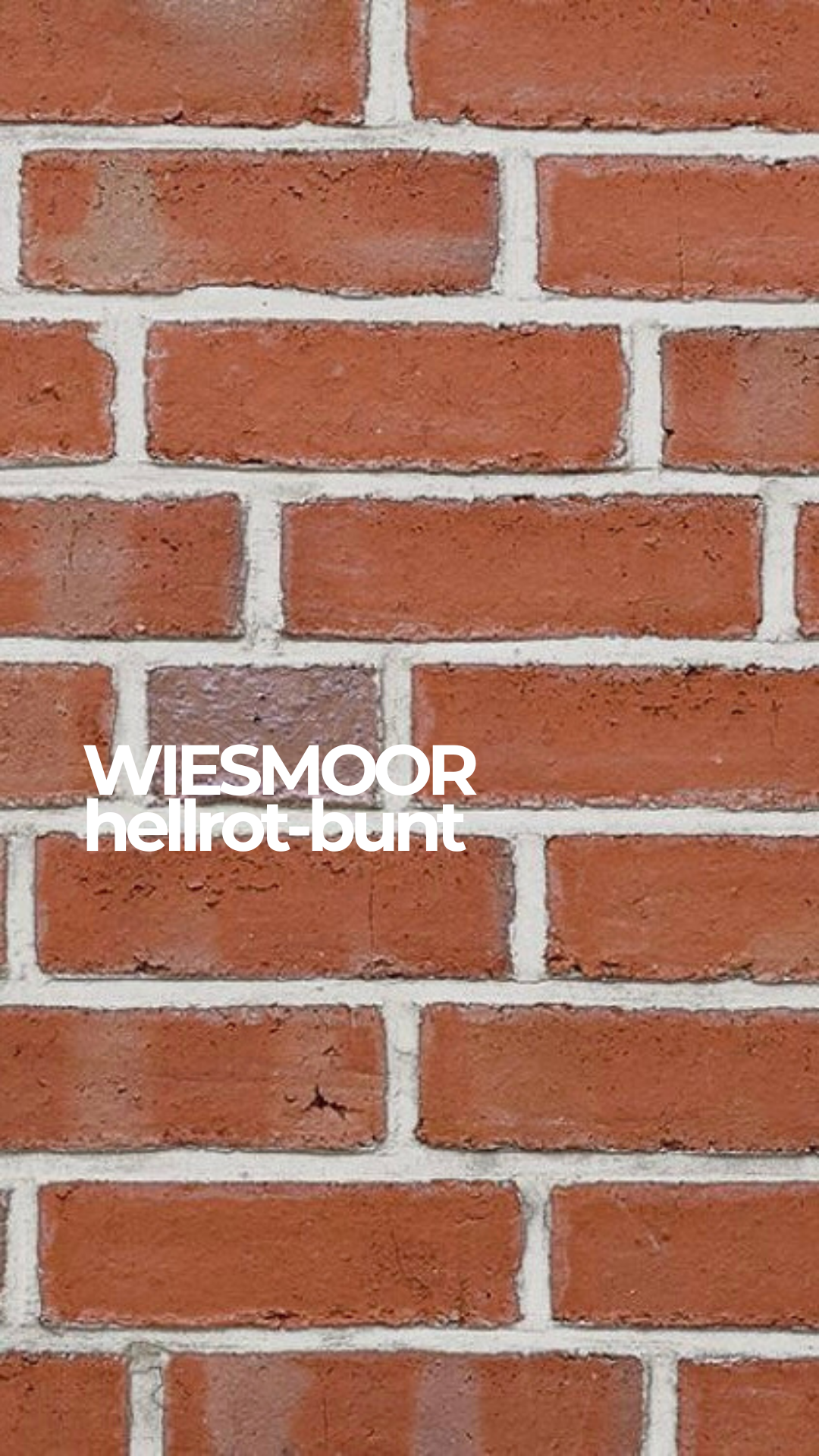 Кирпич клинкерный Roben Wiesmoor hellrot-bunt