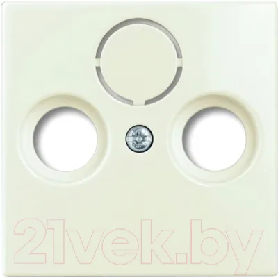 Лицевая панель ABB Basic 55 1724-0-4316