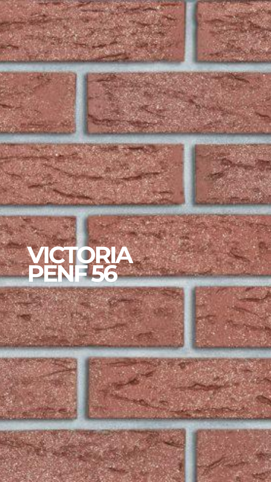 Плитка клинкерная Roben PENF 56